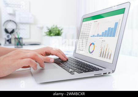 Man working with spreadsheet on laptop. Business analytics. Stock Photo