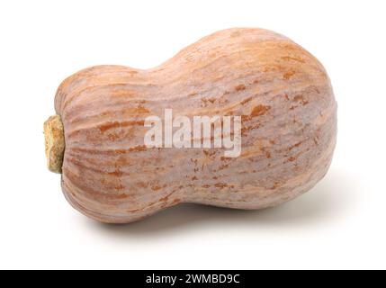 butternut squash isolated on white background. Stock Photo