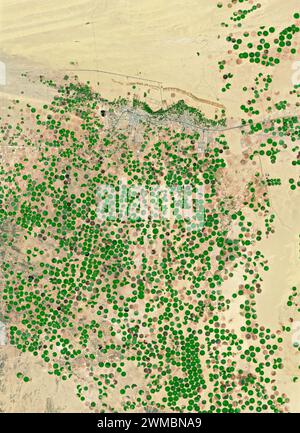 NASA satellite image green circles watered by irrigation in desert, Wadi ad-Dawasir, Saudi Arabia Stock Photo