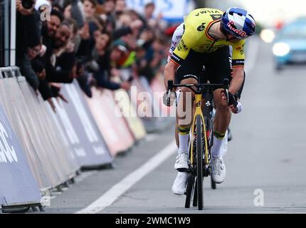 Kortrijk, Belgium. 25th Feb, 2024. celebrates at the finish of the Kuurne-Brussels-Kuurne one day cycling race, 196, 4 km from Kuurne to Kuurne via Brussels, Sunday 25 February 2024. BELGA PHOTO DAVID PINTENS Credit: Belga News Agency/Alamy Live News Stock Photo