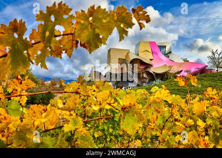 Vineyards in autumn, The City of Wine, Marques de Riscal winery, building by Frank O. Gehry, Elciego, Alava, Rioja Alavesa, Basque Country, Spain, Eur Stock Photo
