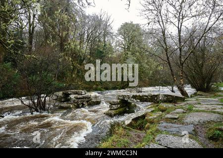 Dartmeet, Dartmoor, United Kingdom, 25th Feb, 2024. Heavy Rain and Flooding on the River Dart on Dartmoor. Credit: Will Tudor/Alamy Live News Stock Photo