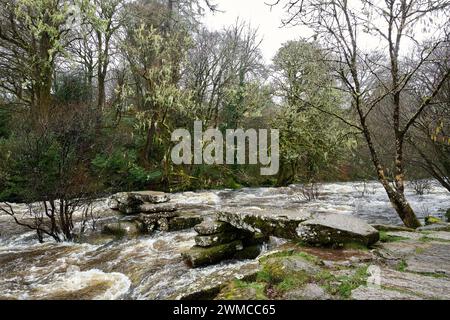 Dartmeet, Dartmoor, United Kingdom, 25th Feb, 2024. Heavy Rain and Flooding on the River Dart on Dartmoor. Credit: Will Tudor/Alamy Live News Stock Photo