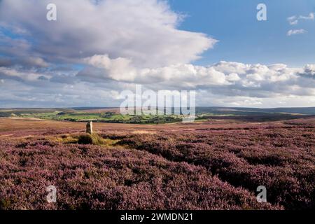 Siss Cross on Low Danby Moor, in the North York Moors, UK Stock Photo