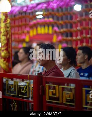 peoples birthday chinese new year