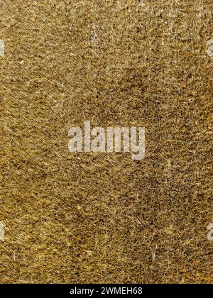 A natural fiber door mat or floor mat background texture Stock Photo