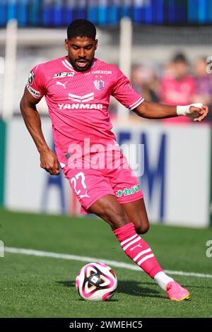 Yodoko Sakura Stadium, Osaka, Japan. 23rd Feb, 2024. Capixaba (Cerezo), FEBRUARY 23, 2024 - Football/Soccer : 2024 J1 League match between Cerezo Osaka 2-2 FC Tokyo at Yodoko Sakura Stadium, Osaka, Japan. Credit: Naoki Morita/AFLO SPORT/Alamy Live News Stock Photo