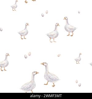 Watercolor seamless pattern with goose and quail eggs. Repiat pattern pastel color. Tender watercolor hand drawn illustration on a isolated on Stock Photo