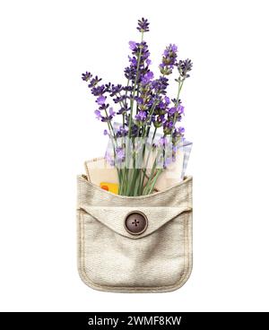 Purple lavender flower and retro envelopes in pocket. Bunch of fresh lavandula flowers in pouch. Isolated on white background Stock Photo