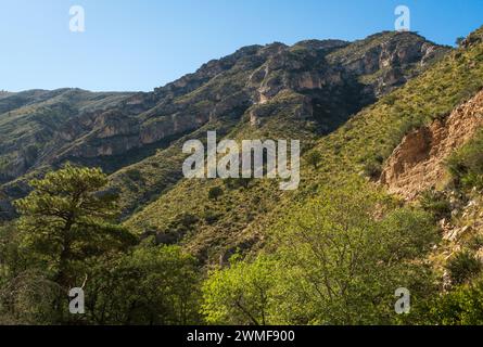 Guadalupe Mountains National Park in Western Texas, USA Stock Photo