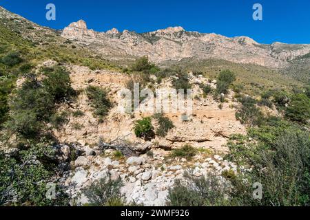 Guadalupe Mountains National Park in Western Texas, USA Stock Photo