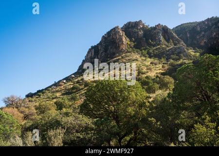 Guadalupe Mountains National Park in Western Texas, USA Stock Photo