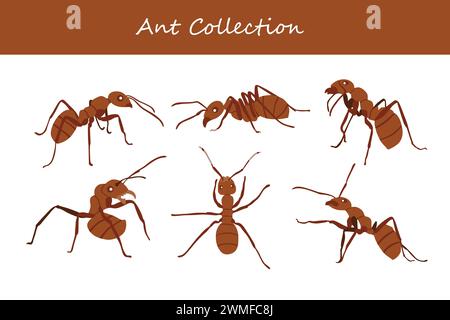 Ants set. Ants collection. Ants vector illustration. Stock Vector