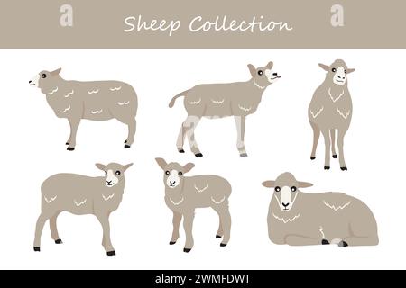 Sheep collection. Cute cartoon sheep. Vector illustration isolated on white background. Stock Vector