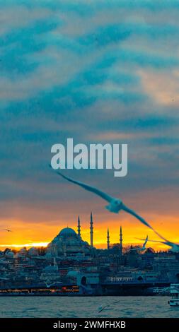 Istanbul vertical photo. Seagull and Suleymaniye Mosque at sunset. Islamic or ramadan concept photo. Stock Photo