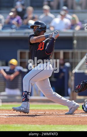 Port Charlotte, FL: Detroit Tigers designated hitter Justyn-Henry Malloy (82) singles to left field during an MLB spring training game against the Tam Stock Photo