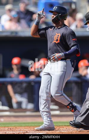 Port Charlotte, FL: Detroit Tigers designated hitter Justyn-Henry Malloy (82) homers to right center during an MLB spring training game against the Ta Stock Photo