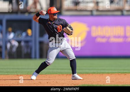 Port Charlotte, FL: Detroit Tigers second baseman Carlos Mendoza (89) fields and throws to first during an MLB spring training game against the Tampa Stock Photo