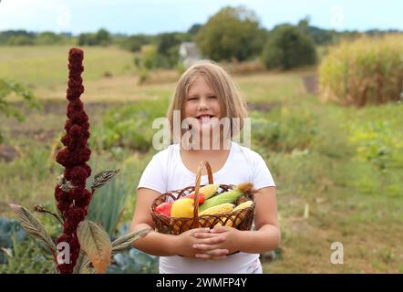 Farmer girl holding wooden basket full of fresh raw vegetables. (corn,tomato, pepper) in the hands. Agribusiness modern. Concept of biological, bio pr Stock Photo