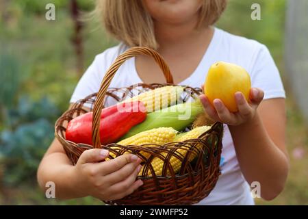 Farmer girl holding wooden basket full of fresh raw vegetables. (corn,tomato, pepper) in the hands. Agribusiness modern. Concept of biological, bio pr Stock Photo