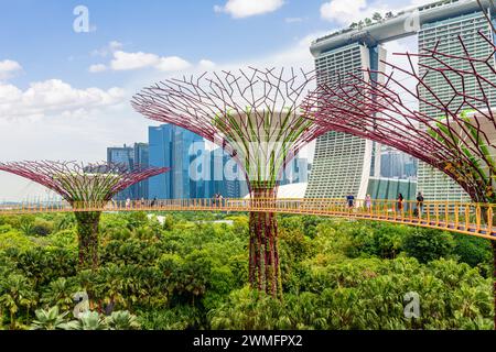 People on the elevated walkway through the Supertree Grove at Gardens by the Bay, Singapore Stock Photo