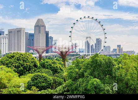 The Singapore Flyer and Supertrees with the Singaporean skyline in the distance, Singapore Stock Photo