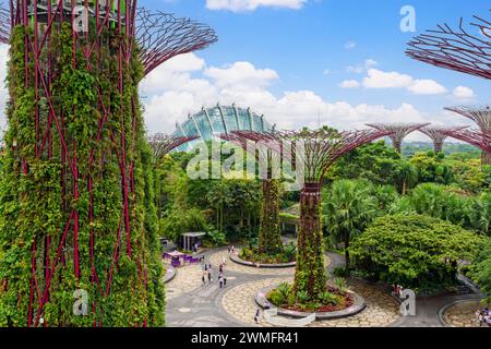The Supertree Grove at Gardens by the Bay, Singapore Stock Photo