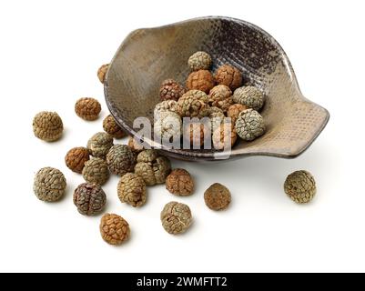 Violet cardamom Seeds CaoDouKou or Alpinia katsumadai Hayata on white background Stock Photo