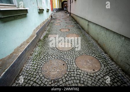 Liberec, Czech Republic. 25th Feb, 2024. The G300 association decorates ...