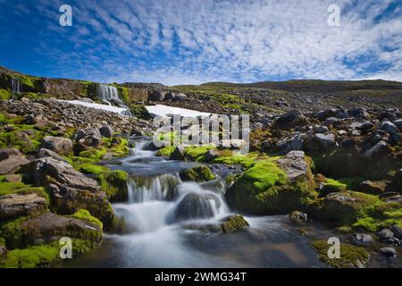 Mountain Rocks Strream Mountain stream flowing over moss covered rocks and fallen logs ...