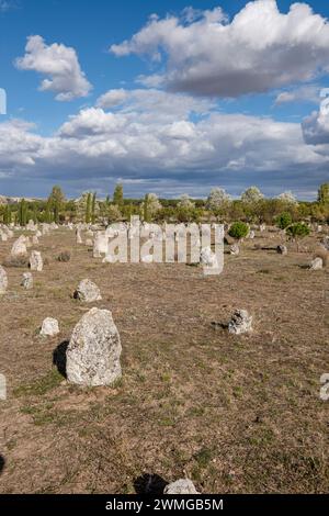 necropolis of 'Las Ruedas', ancient Vaccea city of Pintia, Padilla de Duero, Valladolid province, Spain Stock Photo