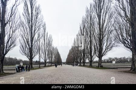 Blick in die Lagerstrasse mit der Baumallee. Links und rechts sind die Fundamenete der ehemaligen Lagerbaracken. Das Konzentrationslager Dachau ist he Stock Photo