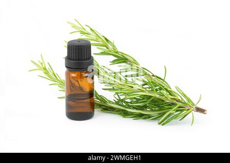 Glass bottle of essential rosemary oil with rosemary branch isolated on white background. herbal oil concept, Rosmarinus Officinalis Stock Photo