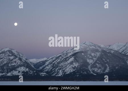 Daybreak with moonset above the Teton Range, purple sky over snow covered mountains, hills, close to Jackson Hole, Wyoming, USA Stock Photo