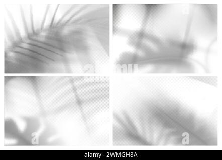 Palm, monstera and plant leaves with shadow overlay effect on transparent background. Vector realistic mockup of room with sunlight from window and gray shades of tree branches, tropical leaf on wall. Stock Vector