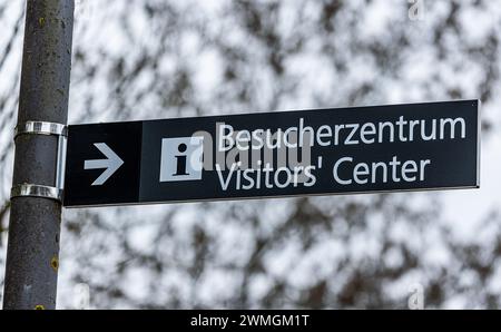 Blick in die Lagerstrasse mit der Baumallee. Links und rechts sind die Fundamenete der ehemaligen Lagerbaracken. Das Konzentrationslager Dachau ist he Stock Photo