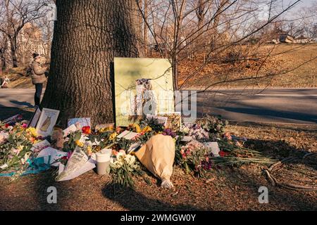 People visit a memorial for a local Eurasian owl named Flaco in Central Park, New York on Sunday, Feb. 25, 2024. In February 2023, Flaco was set free from his enclosure at the Central Park zoo by an unknown person and began enjoying a new life outside the bounds of his 13 year captivity. He became a neighborhood fixture uptown, capturing the hearts of New Yorkers as he was seen around the park, atop buildings and fire escapes. Flaco became adored on social media with thousands of cumulative followers checking on his recent whereabouts and local bird-watchers pulling out their telephoto camera Stock Photo