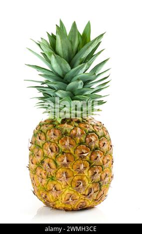fresh ripe whole pineapple isolated on white background Stock Photo