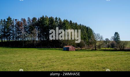 Meadow with pine trees and corrugated iron shelter Stock Photo