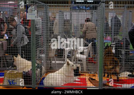 Paris, France. 26th Feb, 2024. Atmosphere during the 60th International Agricultural Show (SIA 2024) at Paris Expo (Parc des Expositions), Porte de Versailles. Paris France on February 26, 2024. Photo by Marie Hubert Psaila/ABACAPRESS.COM Credit: Abaca Press/Alamy Live News Stock Photo