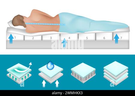 Woman sleeping on mattress. Layered structure Orthopedic mattress and pillow. Stock Vector