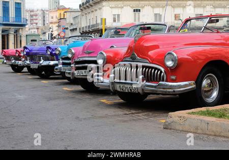 022 Red-purplish blue-blue-pink American classic cars -almendron, yank tank Ford-Chevrolet-Buick from 1957-50-48- on the Paseo del Prado. Havana-Cuba. Stock Photo