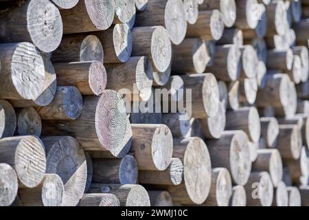 A collection of logs stacked on wooden poles Stock Photo