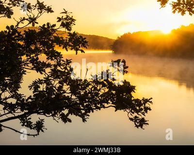 The sun is rising in the sky, casting a warm glow over a serene lake. Tall trees stand in the foreground, their silhouettes contrasting against the co Stock Photo