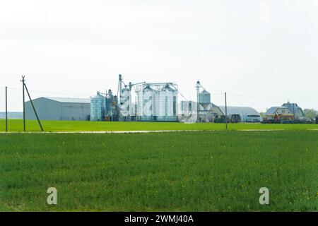 A modern agricultural setup featuring tall metal grain silos connected to bright yellow storage buildings, set against a sprawling green farmland. The Stock Photo