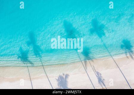 Palm trees shadows on sandy beach, calm sea waves. Turquoise ocean coast from above. Amazing summer nature landscape. Fantastic sunny beach shore Stock Photo