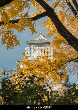 Osaka Castle in autumn season, Osaka, Japan. Stock Photo