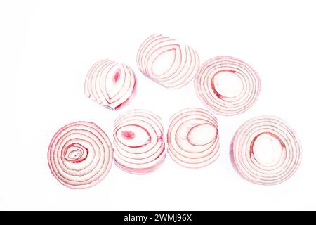 onion slices, Allium cepa Stock Photo