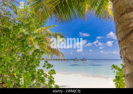 Luxury hotel with water villas palm tree leaves over white sand, close to blue sea, seascape. Beach chairs, beds with white umbrellas. Summer vacation Stock Photo