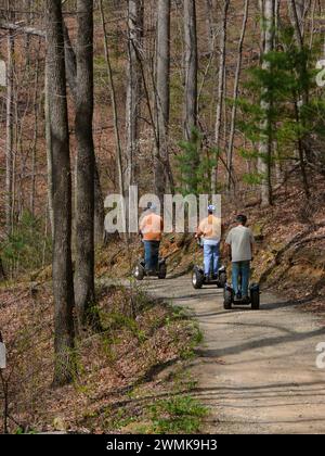 Three tourists ride Segways through a woodland park. Stock Photo